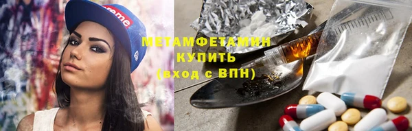 крисы Новозыбков