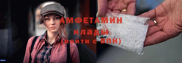 крисы Новозыбков