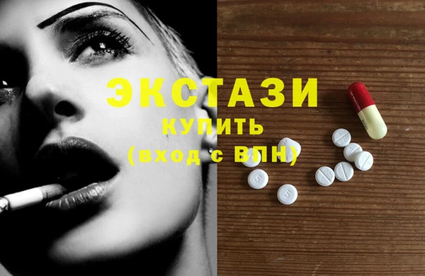 крисы Новозыбков