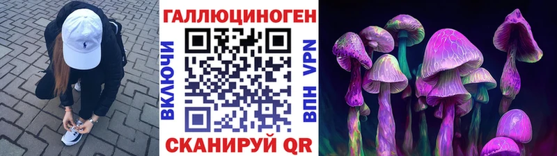 Псилоцибиновые грибы Cubensis  даркнет сайт  мега зеркало  Усинск 